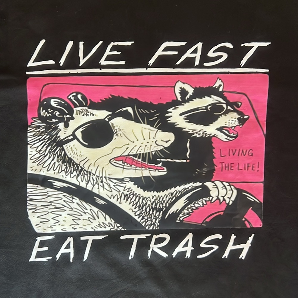 LOL Graphic Tee: Trash Panda Troublemaker Graphic Tee. New